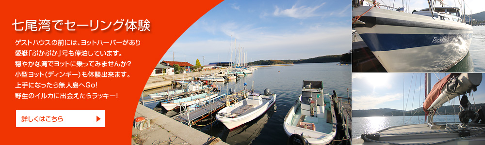 セーリング体験