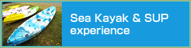 Sea Kayak & SUP experience