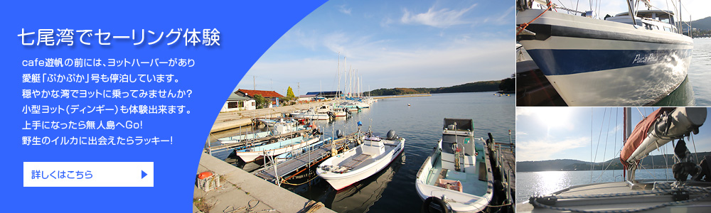 �Z�[�����O�̌�